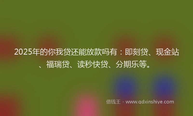 2025年的你我贷还能放款吗有：即刻贷、现金站、福瑞贷、读秒快贷、分期乐等。