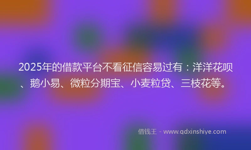 2025年的借款平台不看征信容易过有：洋洋花呗、鹅小易、微粒分期宝、小麦粒贷、三枝花等。
