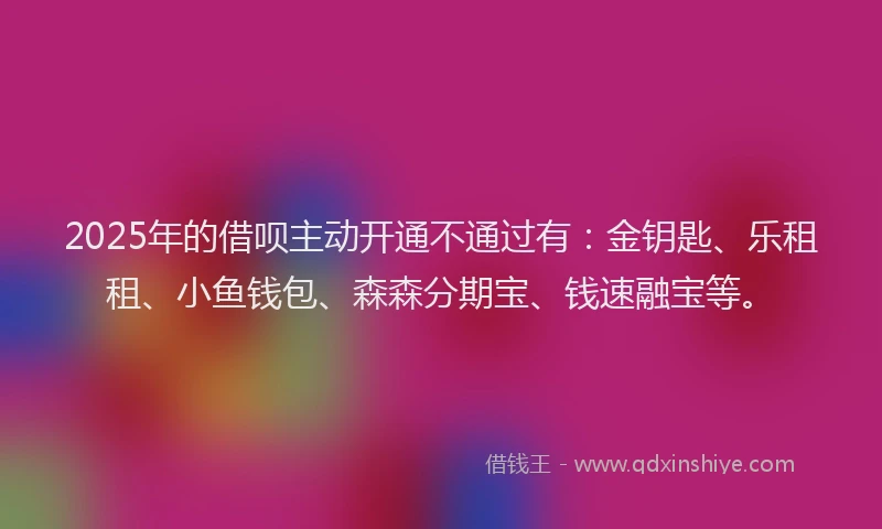 2025年的借呗主动开通不通过有：金钥匙、乐租租、小鱼钱包、森森分期宝、钱速融宝等。