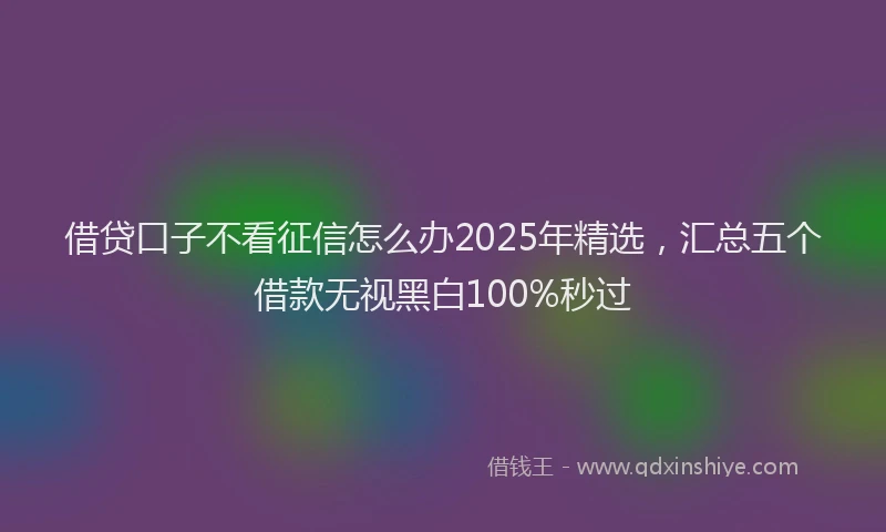 借贷口子不看征信怎么办2025年精选，汇总五个借款无视黑白100%秒过