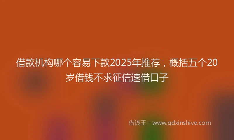 借款机构哪个容易下款2025年推荐，概括五个20岁借钱不求征信速借口子