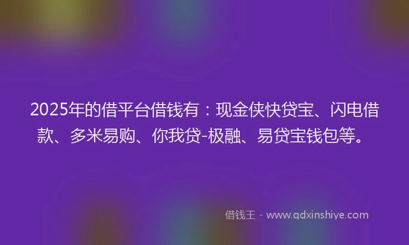 2025年的借平台借钱有：现金侠快贷宝、闪电借款、多米易购、你我贷-极融、易贷宝钱包等。