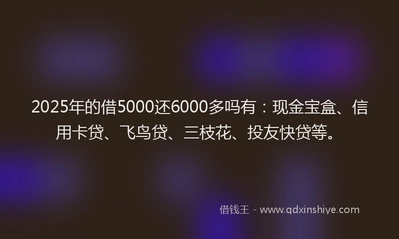 2025年的借5000还6000多吗有：现金宝盒、信用卡贷、飞鸟贷、三枝花、投友快贷等。