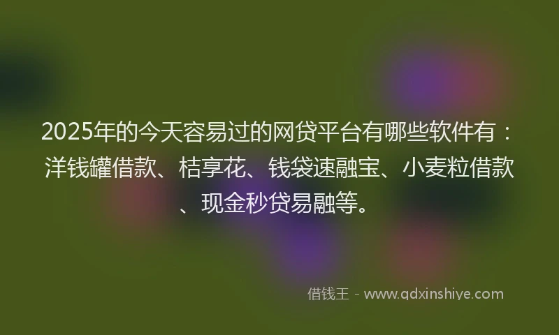 2025年的今天容易过的网贷平台有哪些软件有：洋钱罐借款、桔享花、钱袋速融宝、小麦粒借款、现金秒贷易融等。