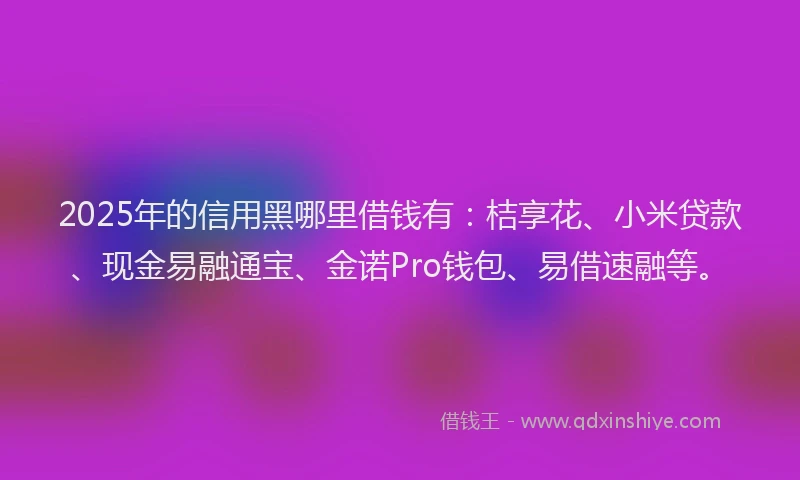 2025年的信用黑哪里借钱有：桔享花、小米贷款、现金易融通宝、金诺Pro钱包、易借速融等。