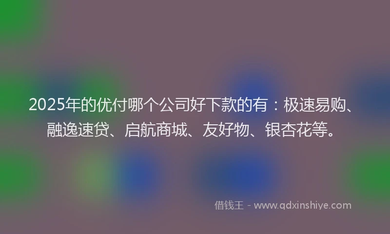 2025年的优付哪个公司好下款的有：极速易购、融逸速贷、启航商城、友好物、银杏花等。
