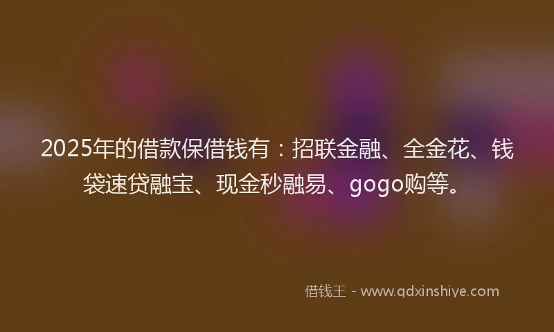 2025年的借款保借钱有：招联金融、全金花、钱袋速贷融宝、现金秒融易、gogo购等。