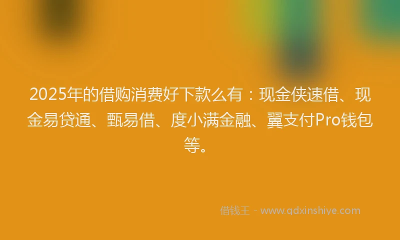 2025年的借购消费好下款么有：现金侠速借、现金易贷通、甄易借、度小满金融、翼支付Pro钱包等。