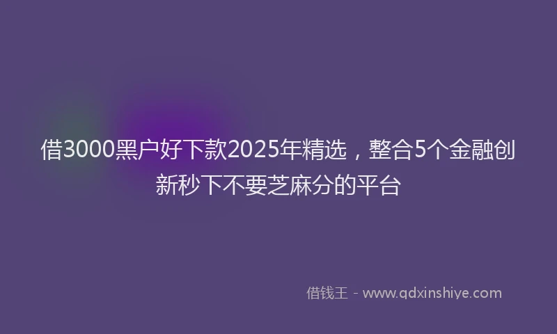 借3000黑户好下款2025年精选，整合5个金融创新秒下不要芝麻分的平台