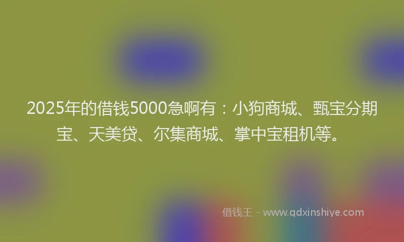 2025年的借钱5000急啊有：小狗商城、甄宝分期宝、天美贷、尔集商城、掌中宝租机等。