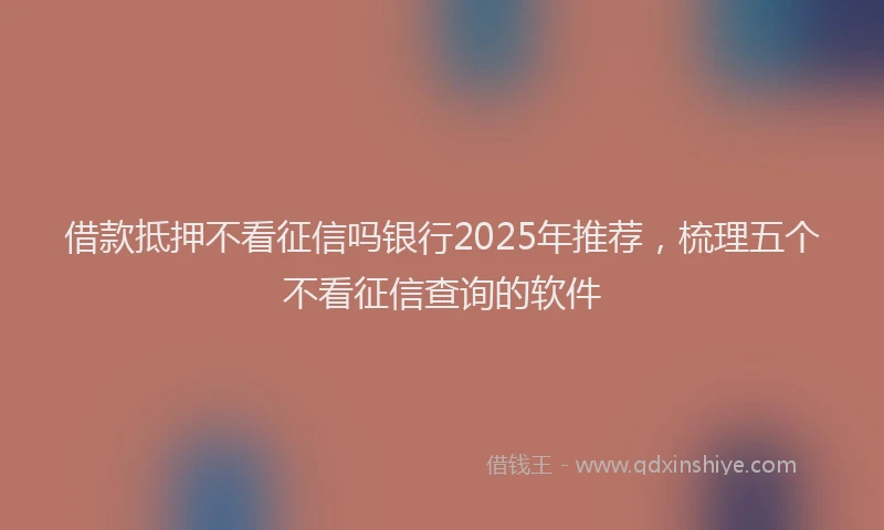 借款抵押不看征信吗银行2025年推荐，梳理五个不看征信查询的软件