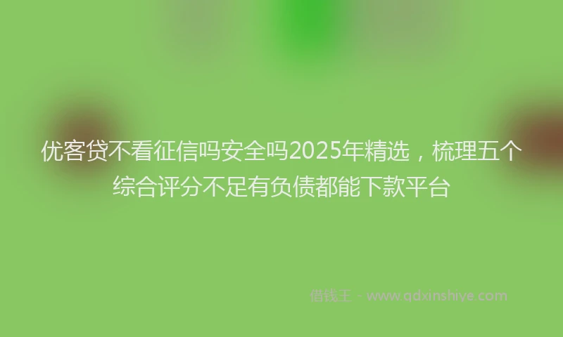 优客贷不看征信吗安全吗2025年精选，梳理五个综合评分不足有负债都能下款平台