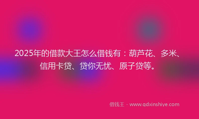 2025年的借款大王怎么借钱有：葫芦花、多米、信用卡贷、贷你无忧、原子贷等。