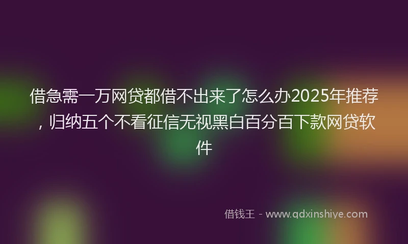 借急需一万网贷都借不出来了怎么办2025年推荐，归纳五个不看征信无视黑白百分百下款网贷软件