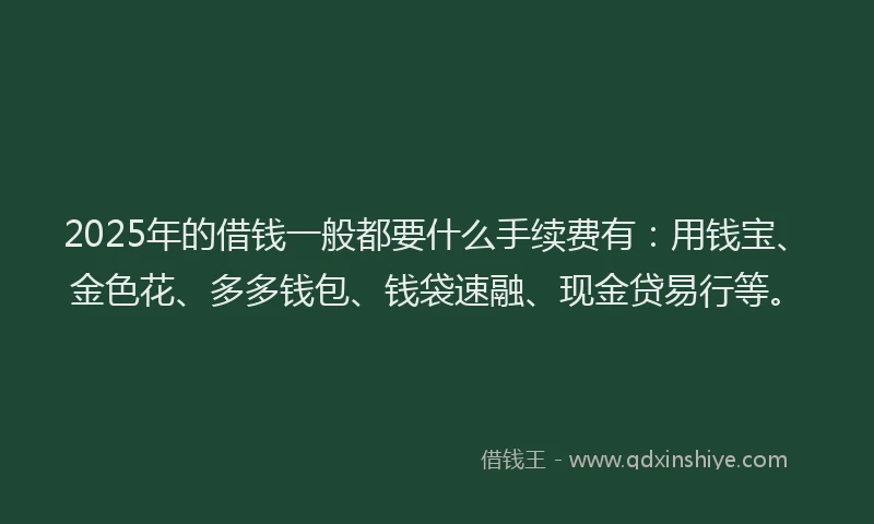 2025年的借钱一般都要什么手续费有：用钱宝、金色花、多多钱包、钱袋速融、现金贷易行等。