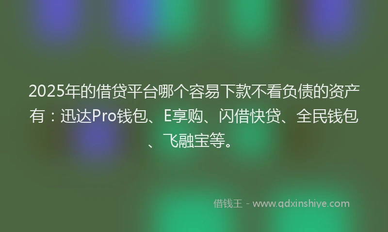 2025年的借贷平台哪个容易下款不看负债的资产有：迅达Pro钱包、E享购、闪借快贷、全民钱包、飞融宝等。