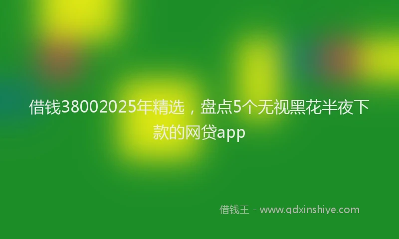 借钱38002025年精选，盘点5个无视黑花半夜下款的网贷app