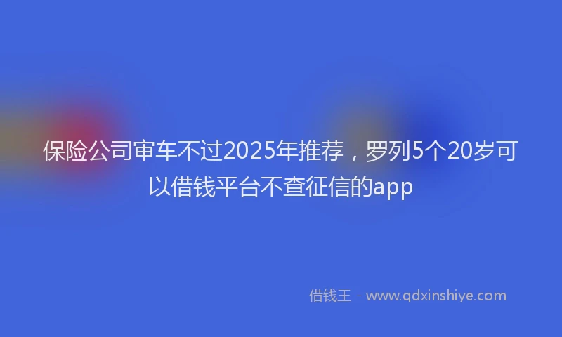 保险公司审车不过2025年推荐，罗列5个20岁可以借钱平台不查征信的app
