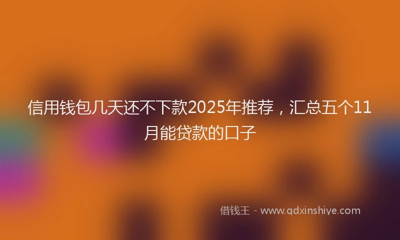 信用钱包几天还不下款2025年推荐，汇总五个11月能贷款的口子