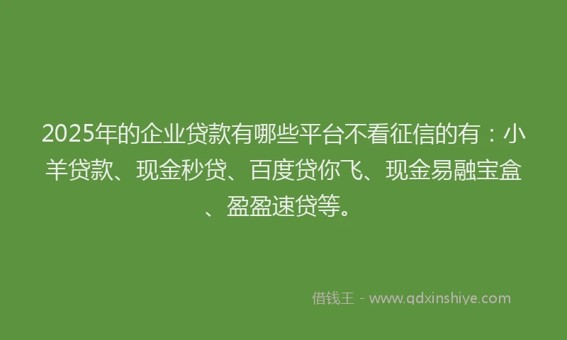 2025年的企业贷款有哪些平台不看征信的有：小羊贷款、现金秒贷、百度贷你飞、现金易融宝盒、盈盈速贷等。