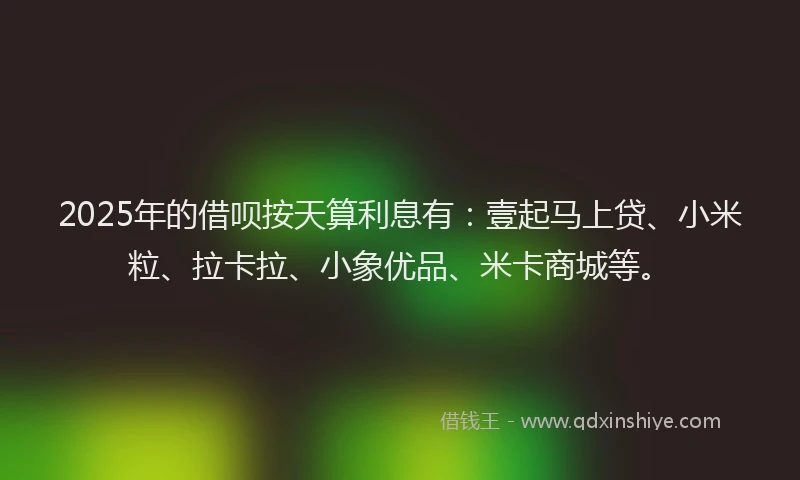 2025年的借呗按天算利息有：壹起马上贷、小米粒、拉卡拉、小象优品、米卡商城等。