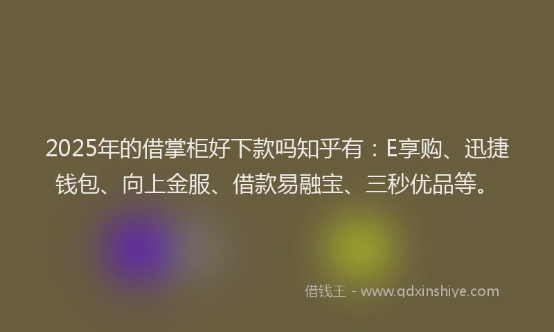 2025年的借掌柜好下款吗知乎有：E享购、迅捷钱包、向上金服、借款易融宝、三秒优品等。
