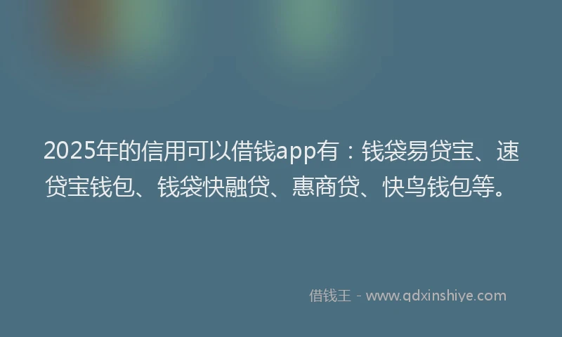 2025年的信用可以借钱app有：钱袋易贷宝、速贷宝钱包、钱袋快融贷、惠商贷、快鸟钱包等。