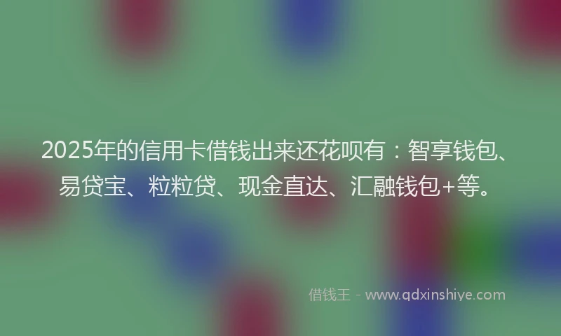 2025年的信用卡借钱出来还花呗有：智享钱包、易贷宝、粒粒贷、现金直达、汇融钱包+等。