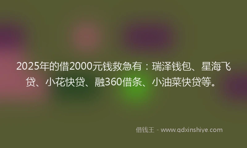 2025年的借2000元钱救急有：瑞泽钱包、星海飞贷、小花快贷、融360借条、小油菜快贷等。
