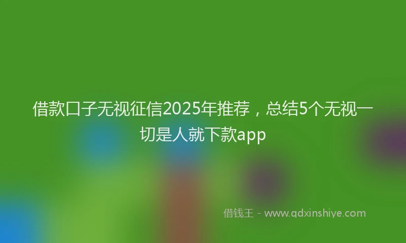 借款口子无视征信2025年推荐，总结5个无视一切是人就下款app