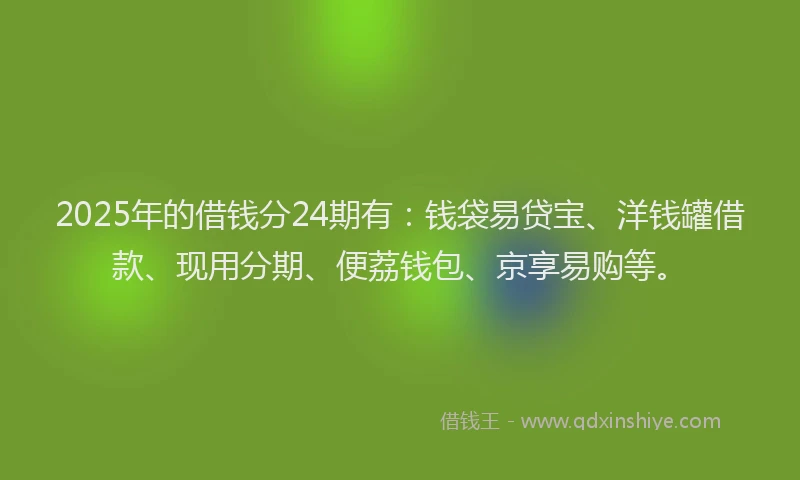 2025年的借钱分24期有：钱袋易贷宝、洋钱罐借款、现用分期、便荔钱包、京享易购等。