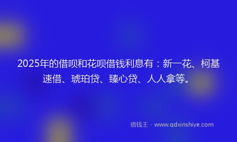 2025年的借呗和花呗借钱利息有：新一花、柯基速借、琥珀贷、臻心贷、人人拿等。