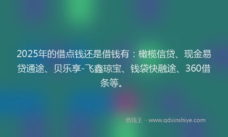 2025年的借点钱还是借钱有：橄榄信贷、现金易贷通途、贝乐享-飞鑫琼宝、钱袋快融途、360借条等。