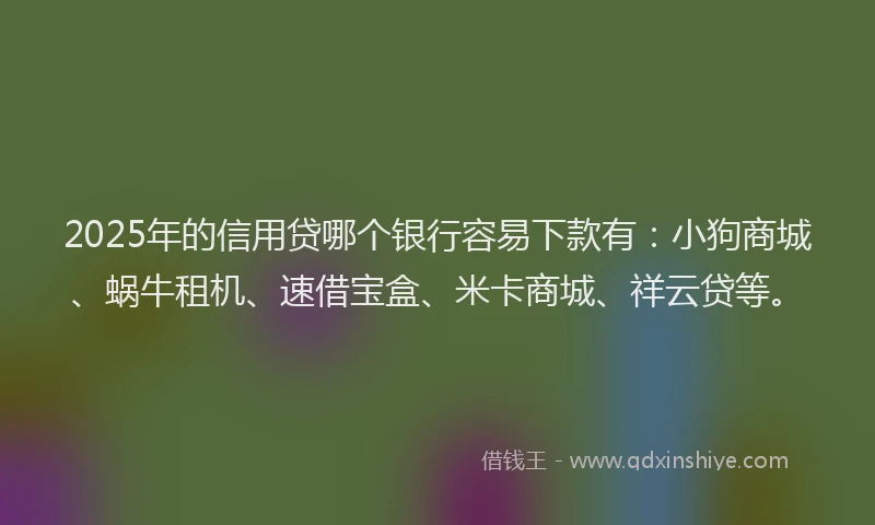 2025年的信用贷哪个银行容易下款有：小狗商城、蜗牛租机、速借宝盒、米卡商城、祥云贷等。