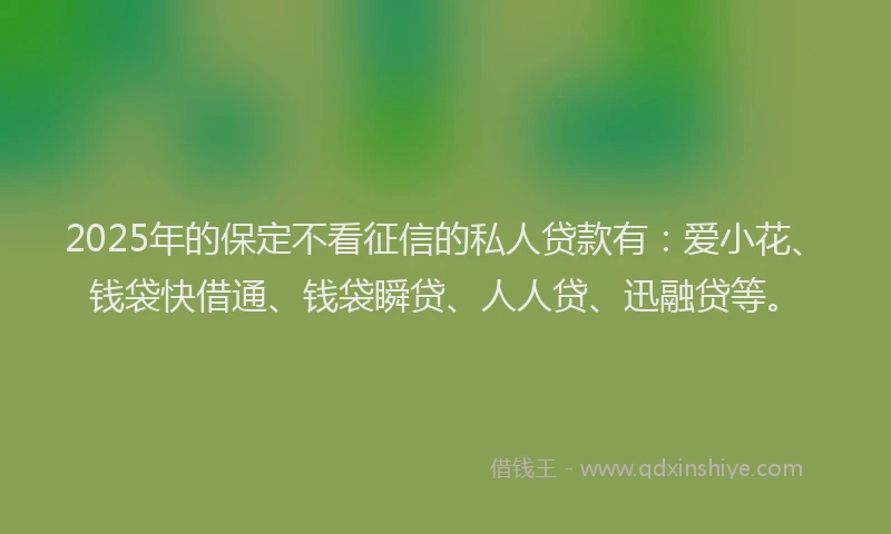 2025年的保定不看征信的私人贷款有：爱小花、钱袋快借通、钱袋瞬贷、人人贷、迅融贷等。