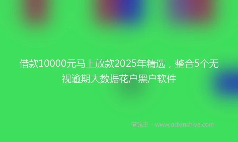 借款10000元马上放款2025年精选，整合5个无视逾期大数据花户黑户软件