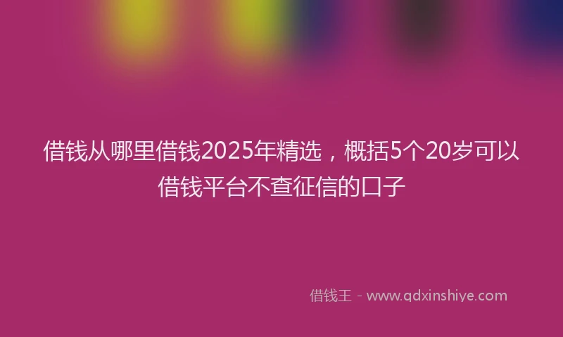 借钱从哪里借钱2025年精选，概括5个20岁可以借钱平台不查征信的口子