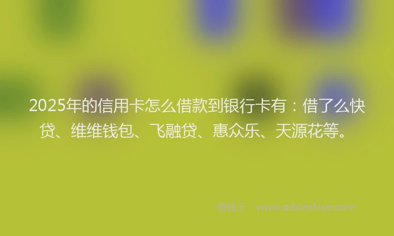2025年的信用卡怎么借款到银行卡有：借了么快贷、维维钱包、飞融贷、惠众乐、天源花等。