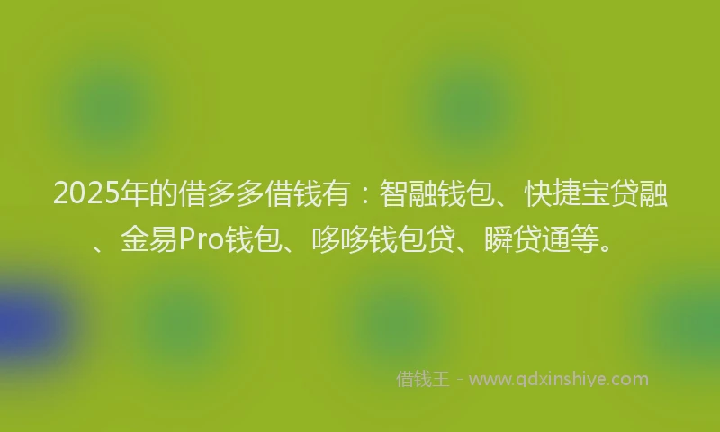 2025年的借多多借钱有：智融钱包、快捷宝贷融、金易Pro钱包、哆哆钱包贷、瞬贷通等。