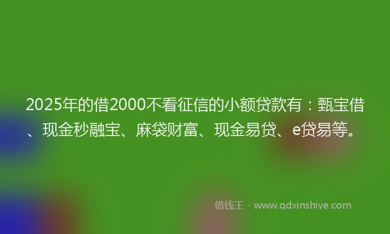 2025年的借2000不看征信的小额贷款有：甄宝借、现金秒融宝、麻袋财富、现金易贷、e贷易等。