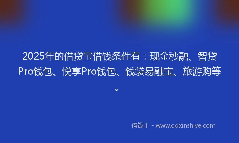 2025年的借贷宝借钱条件有：现金秒融、智贷Pro钱包、悦享Pro钱包、钱袋易融宝、旅游购等。