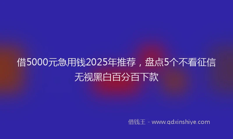 借5000元急用钱2025年推荐，盘点5个不看征信无视黑白百分百下款
