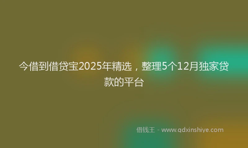 今借到借贷宝2025年精选，整理5个12月独家贷款的平台