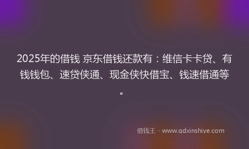 2025年的借钱 京东借钱还款有：维信卡卡贷、有钱钱包、速贷侠通、现金侠快借宝、钱速借通等。