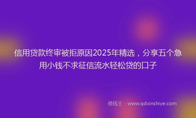 信用贷款终审被拒原因2025年精选，分享五个急用小钱不求征信流水轻松贷的口子