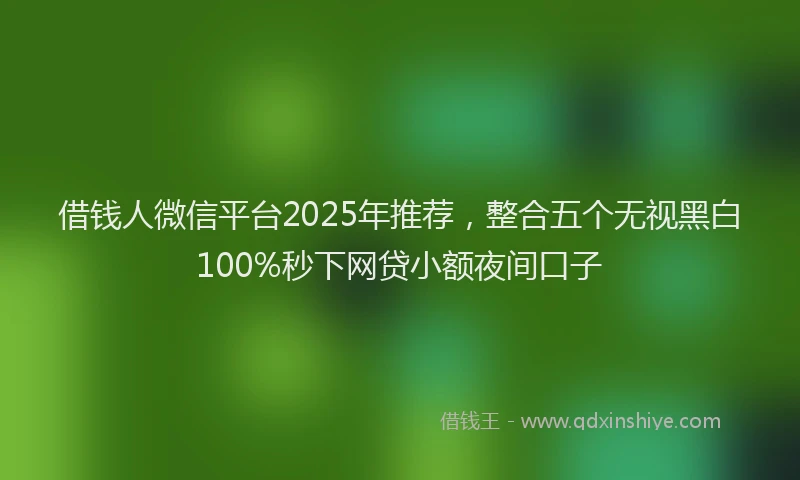 借钱人微信平台2025年推荐，整合五个无视黑白100%秒下网贷小额夜间口子