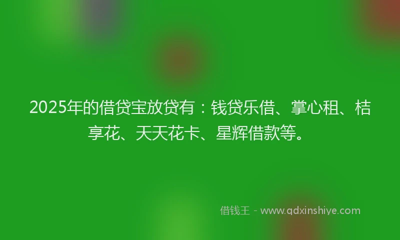 2025年的借贷宝放贷有：钱贷乐借、掌心租、桔享花、天天花卡、星辉借款等。