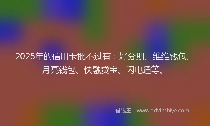 2025年的信用卡批不过有：好分期、维维钱包、月亮钱包、快融贷宝、闪电通等。