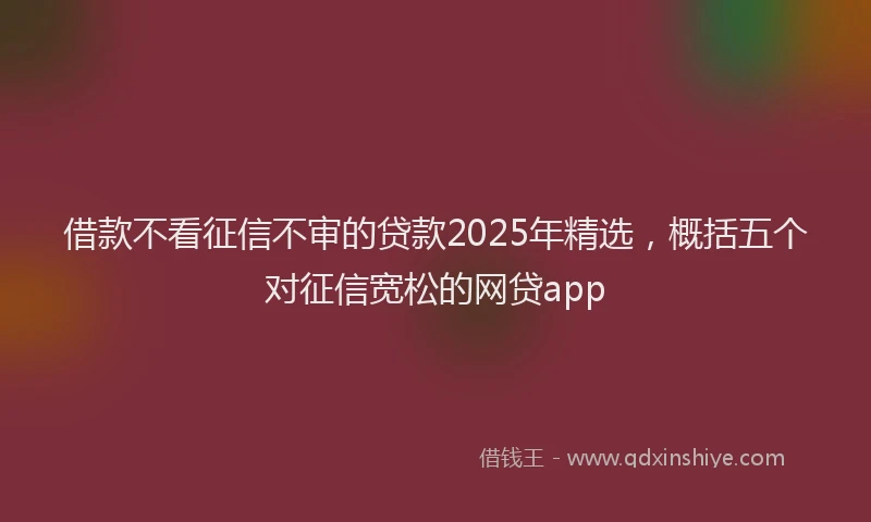 借款不看征信不审的贷款2025年精选，概括五个对征信宽松的网贷app