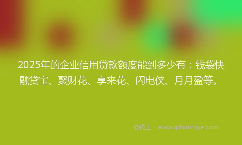 2025年的企业信用贷款额度能到多少有：钱袋快融贷宝、聚财花、享来花、闪电侠、月月盈等。